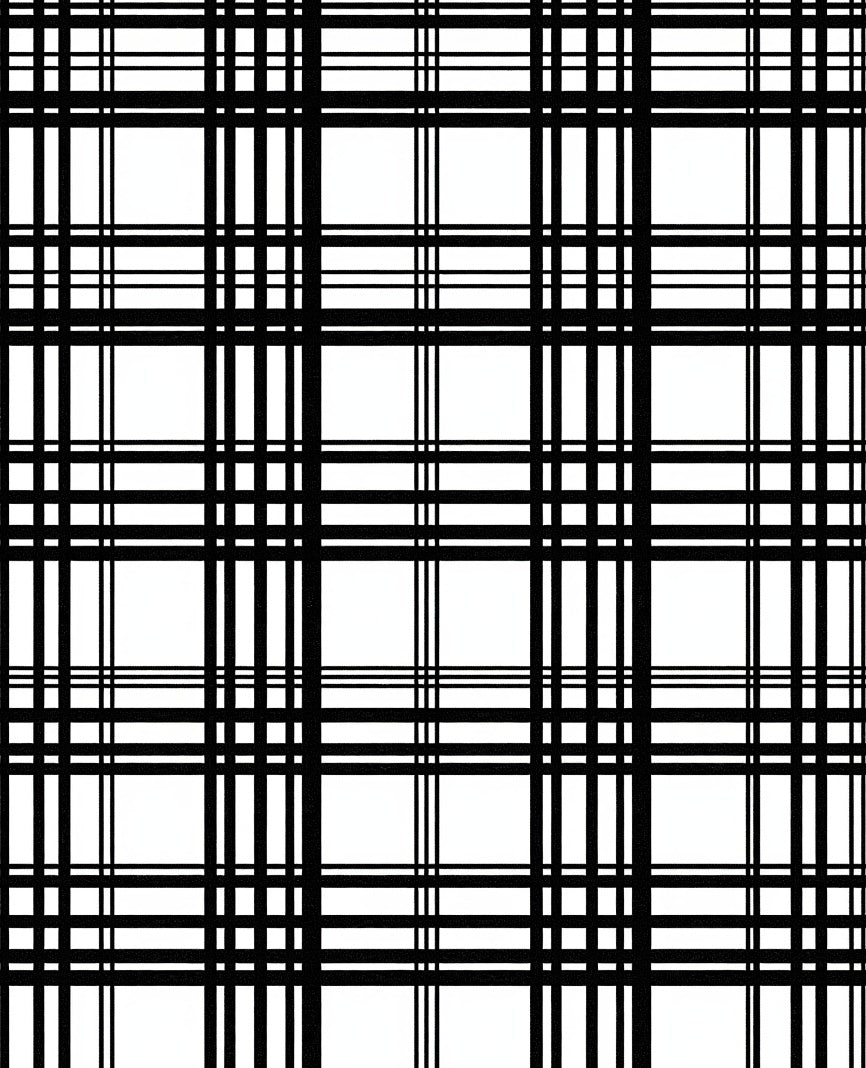 Classic Black White Grid Pattern Rug