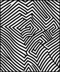 Dynamic Black White Striped Optical Rug