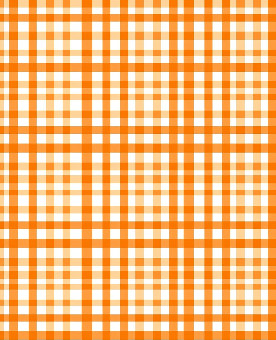Bright Orange White Gingham Pattern Rug