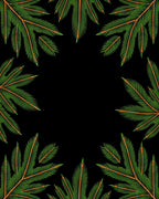 Green Frond Tropical Frame Rug
