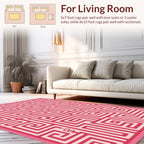 Pink Maze Pattern Rug