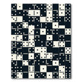 Retro Black White Domino Grid Rug