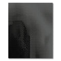 Monochromatic Halftone Gradient Dots Rug
