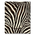 Cream Brown Animal Print Stripes Rug