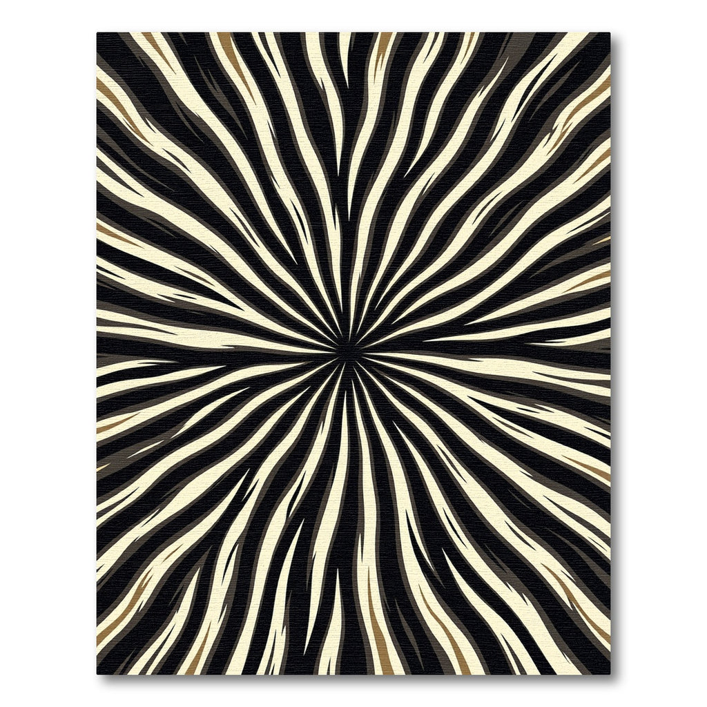 Black and White Radial Stripe Rug