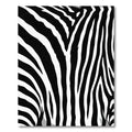 Bold Monochrome Zebra Lines Area Rug