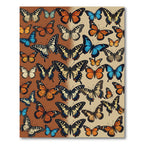 Vibrant Dual Tone Butterfly Garden Field Rug