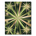 Mid-Century Geometric Olive Gold Starburst Rug