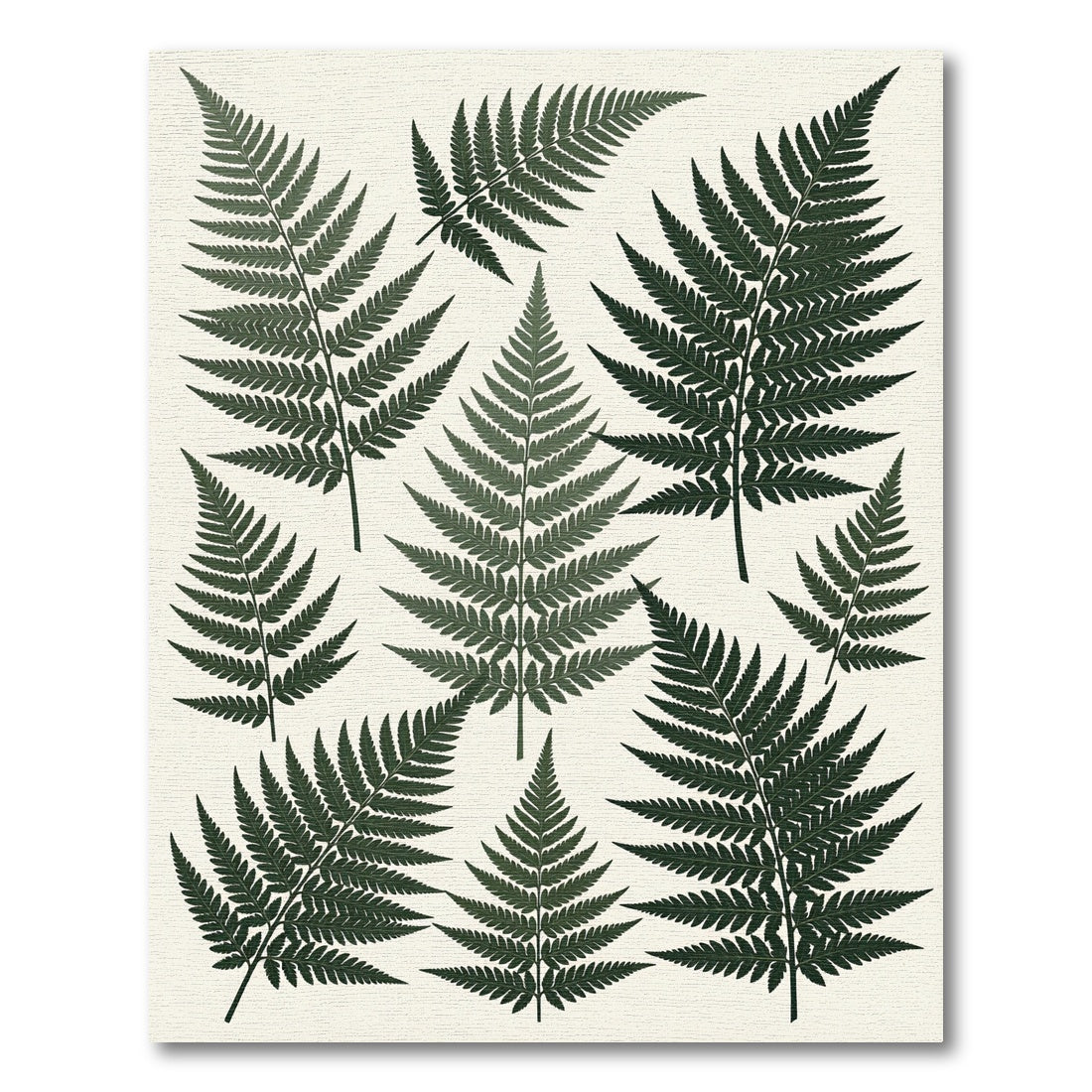 Dark Green Fern Frond Collage Rug