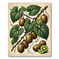 Lush Botanical Kiwi Fruit Foliage Rug
