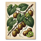Lush Botanical Kiwi Fruit Foliage Rug