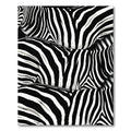 Classic Black White Zebra Stripe Rug