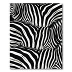 Classic Black White Zebra Stripe Rug