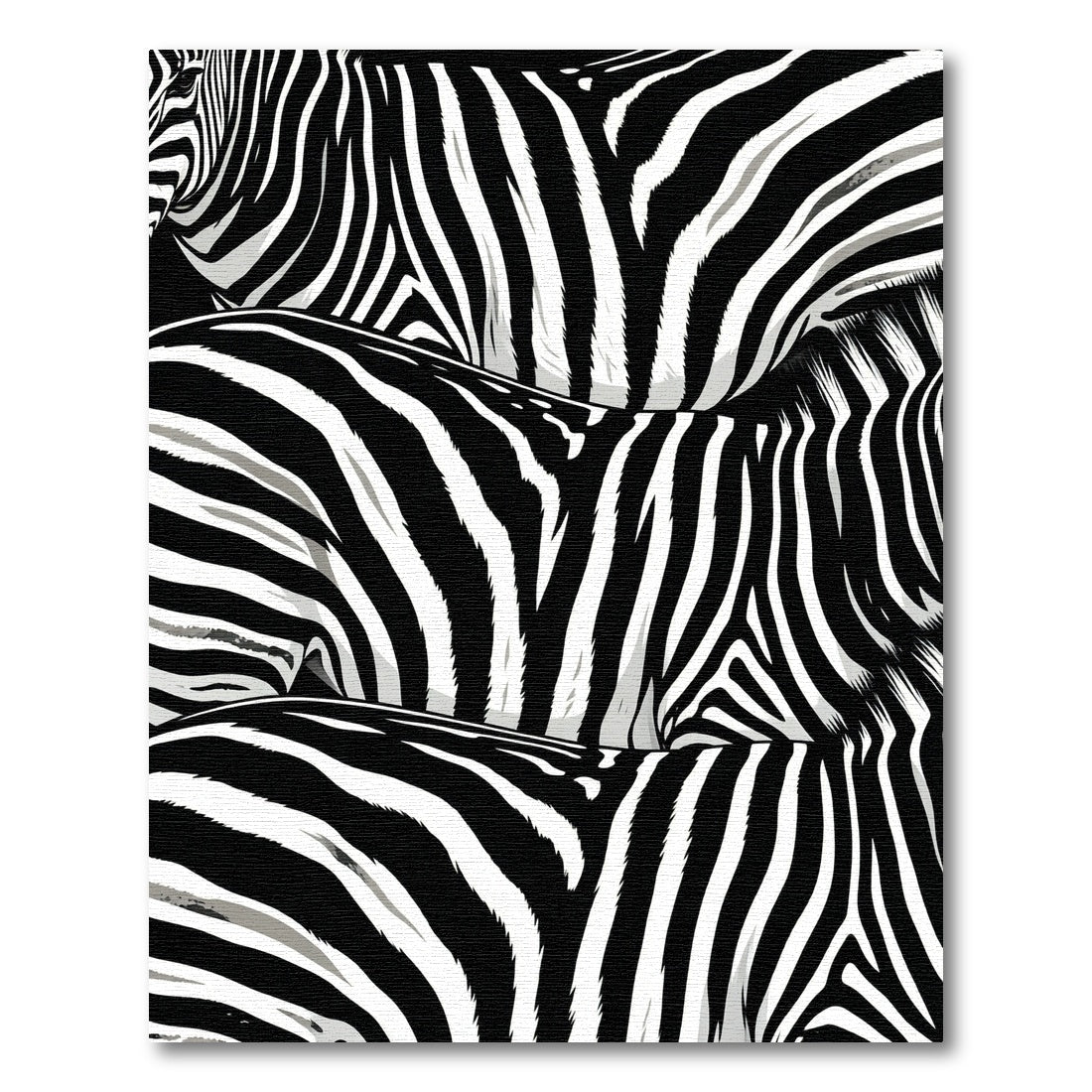 Classic Black White Zebra Stripe Rug