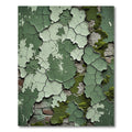 Verdant Cracked Paint Textured Layers Rug