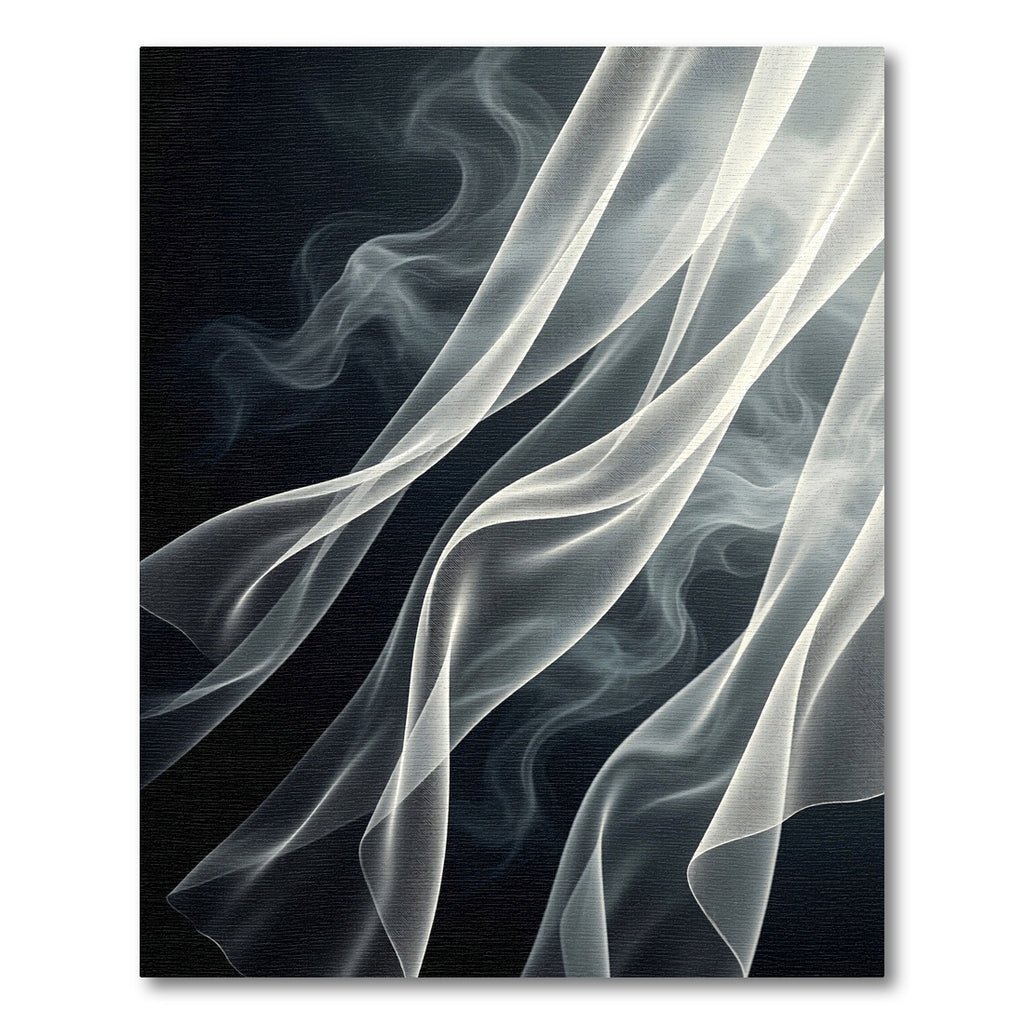 Ethereal White Smoke Curtains Rug