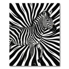 Bold Black and White Zebra Swirl Rug
