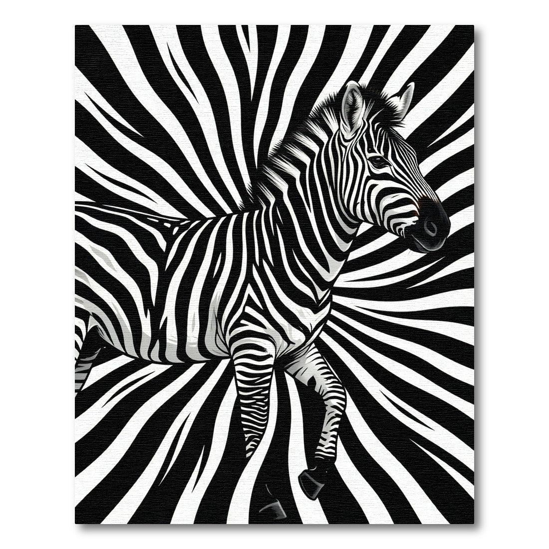 Bold Black and White Zebra Swirl Rug